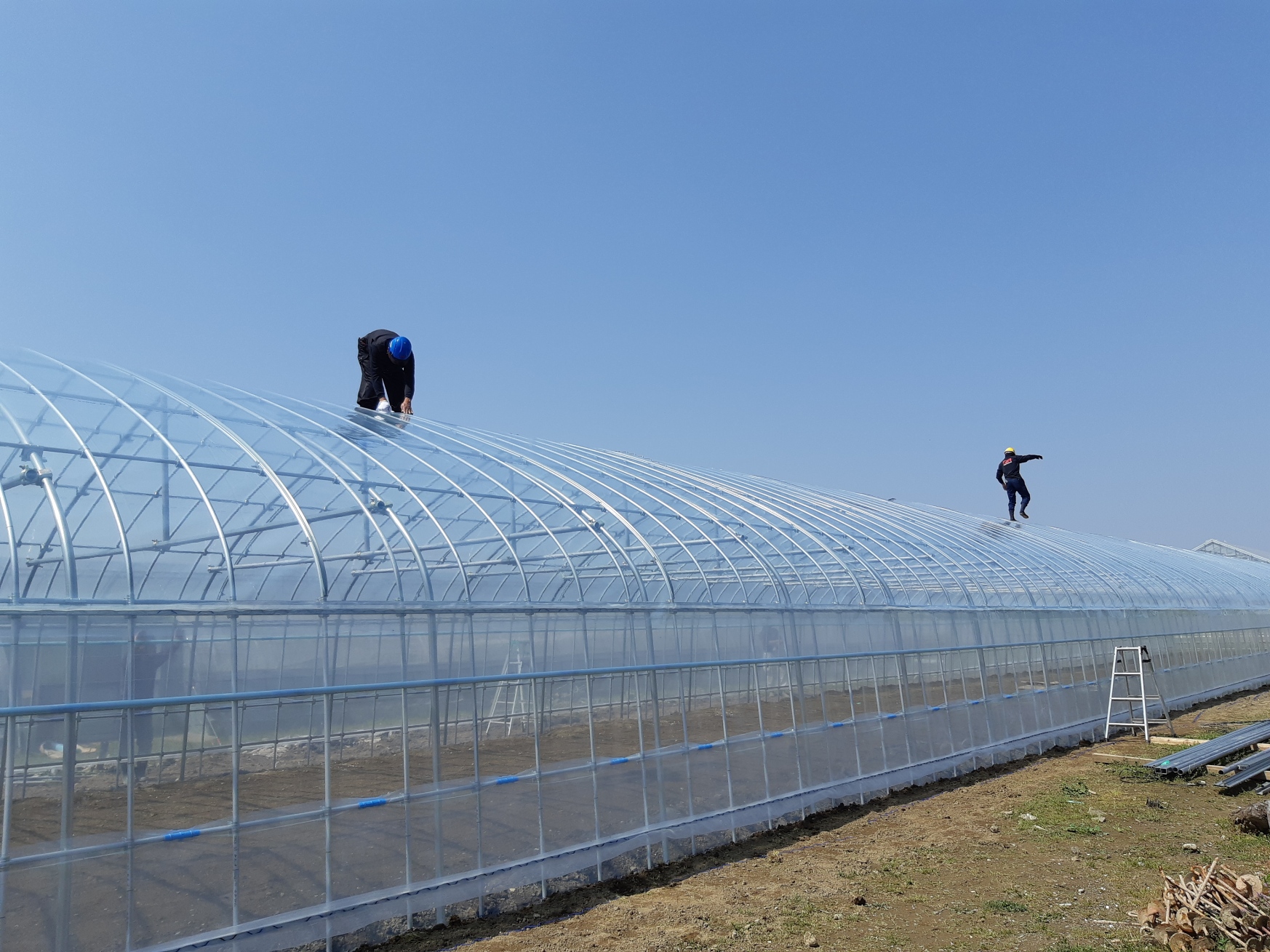 農業を支える仕事技術や誇りも身につき家族との時間も守れる