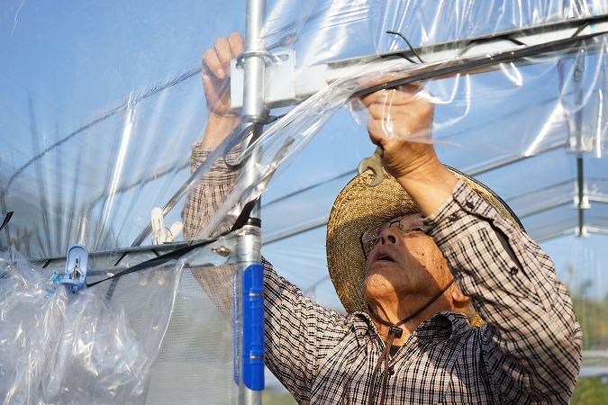 ビニールハウスメンテナンス
