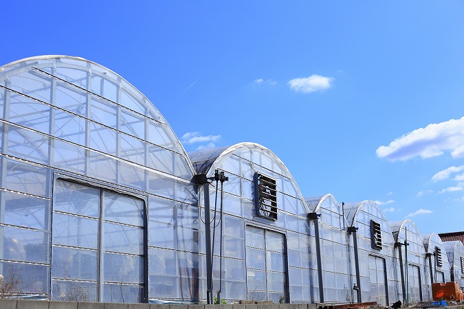 ビニールハウス