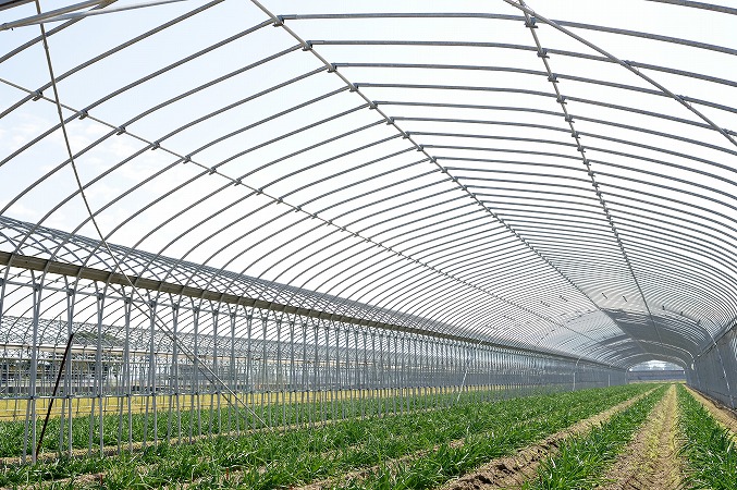 ビニールハウス